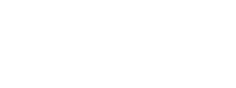 AI Partner Logo